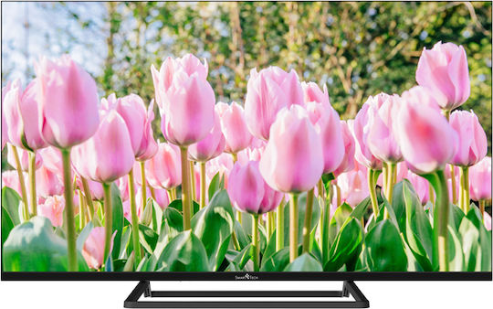 Τηλεόραση 40" Full HD LED 40FN01V3 HDR (2023)