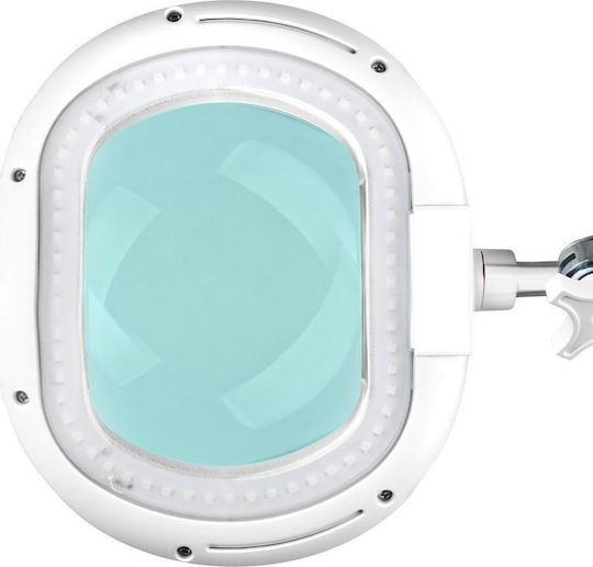 Activeshop Tabletop Magnifying Lense with Light 1pcs