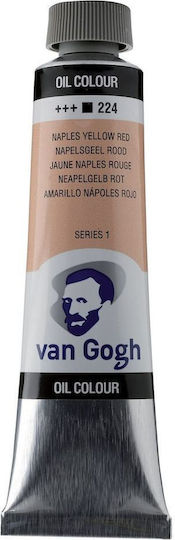 Royal Talens Oil Colour 20ml Van Gogh Naples Yellow Red 3
