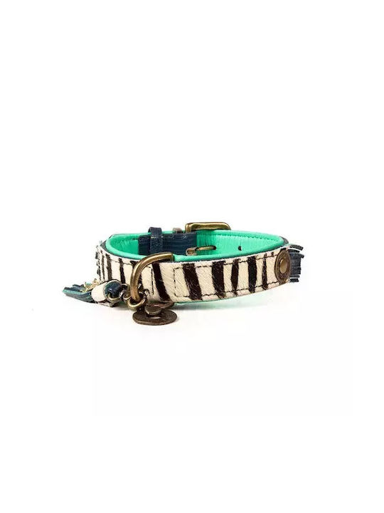 Περιλαίμιο Dwam Zara Collar S