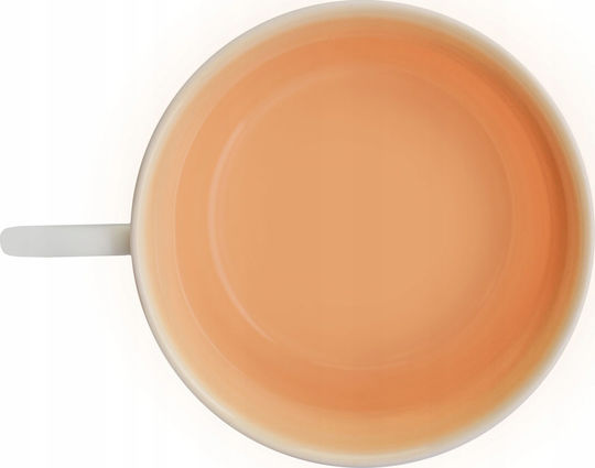 Verlo Φλιτζάνι Espresso από Πορσελάνη Πορτοκαλί 100ml 5908284717292