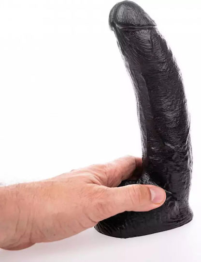 Hung System George Glass Dildo with Balls and Suction Cup Black 22cm