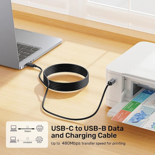 Unitek USB 2.0 Cable USB-C male - USB-B Black 2m (C14140ABK-2M)