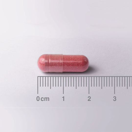 Lamberts Cranberry 18.750mg 60 κάψουλες