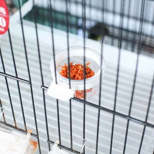 Small Feeder for Canary in Transparent Colour