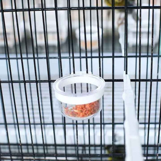 Small Feeder for Canary in Transparent Colour