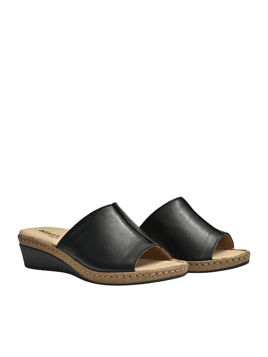 Adam's Shoes