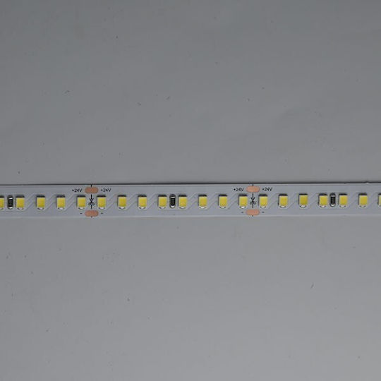 Eurolamp Ταινία LED 24V Ψυχρό Λευκό Φως 5m