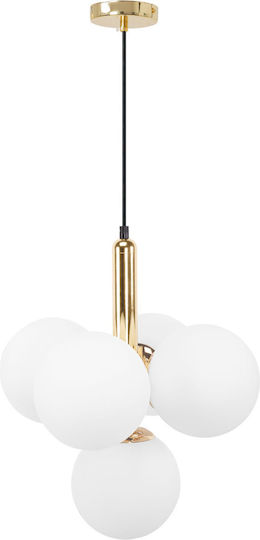 Pendelleuchte App1574-5cp Gold