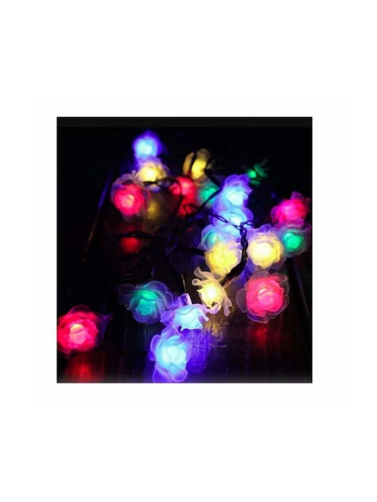 Garland Lights Exterior