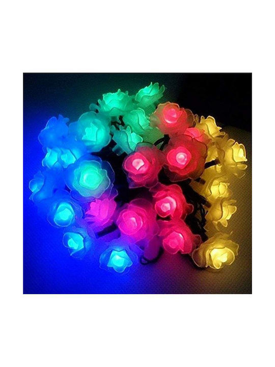 Garland Lights Exterior