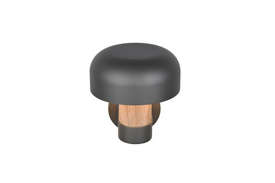 Trio Lighting Fraser Lumină de exterior montată pe perete