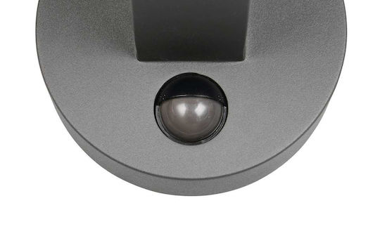 Trio Lighting Mackenzie Επιτοίχιο Εξωτερικό Φωτιστικό