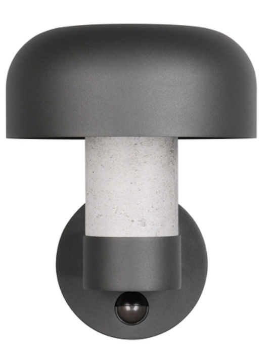 Trio Lighting Fraser Wandmontierte Außenleuchte