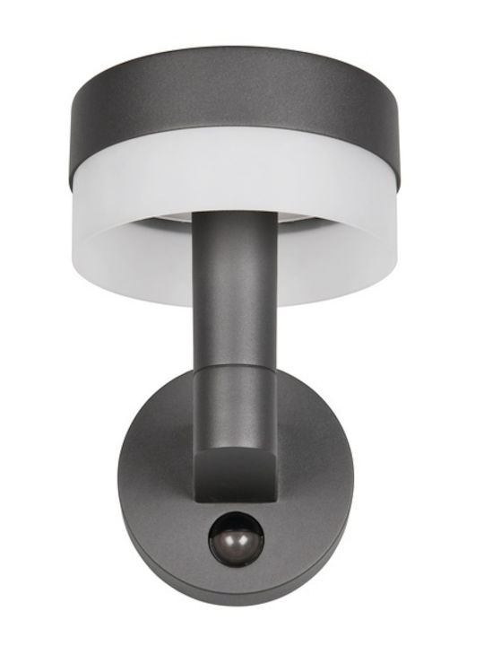 Trio Lighting Mackenzie Стенно Външно Осветително Тяло