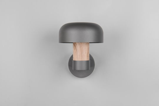 Trio Lighting Fraser Lumină de exterior montată pe perete