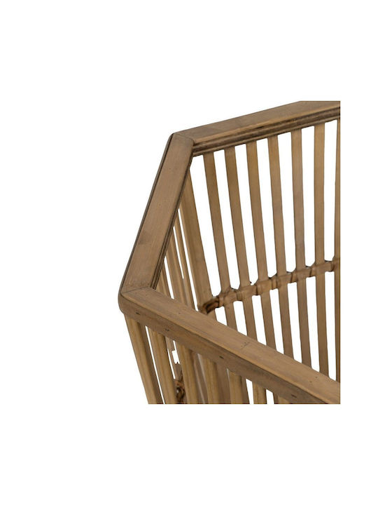 Ixia Regal Σετ 2 Γλάστρες Bamboo Ixia Regal Σετ 2 Γλάστρες Bamboo