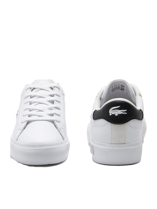 Lacoste