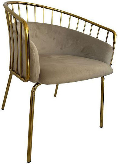 King Stühle Speisesaal Beige 1Stück 60x56x79cm