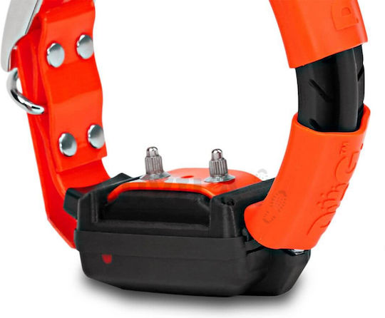 Dog Trace X30T GPS Elektrisches Hundehalsband