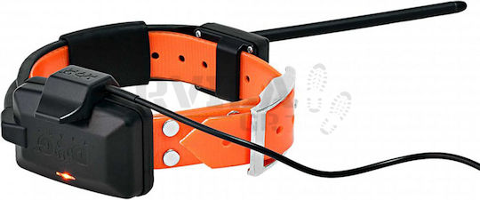 Dog Trace X30T GPS Elektrisches Hundehalsband