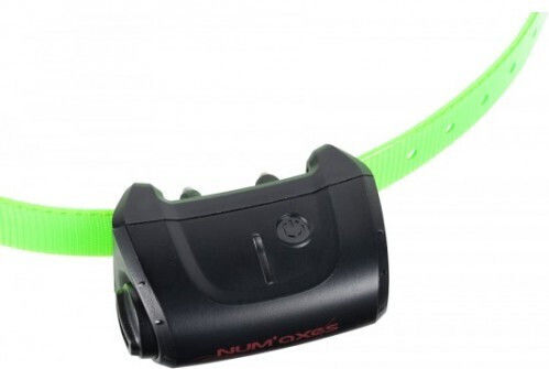 Num'axes Canicom 5 Receiver Replacement Dog Training Shock Collar Green