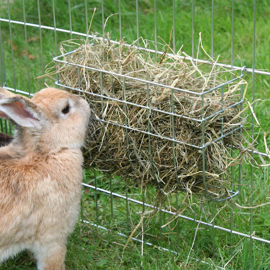Kerbl Futterschale für Hamster Blau
