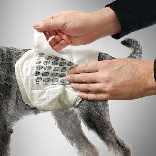 Simple Solution Dog Panties XSmall 22.5 - 35cm 12pcs