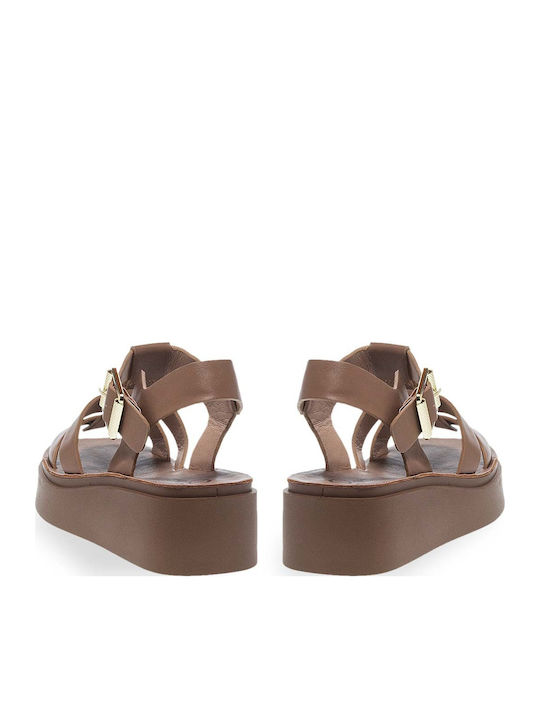 Women's Flat Sandals Gladiator in Brown Color