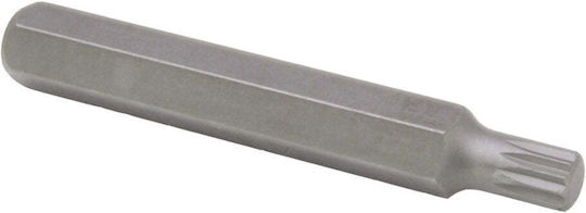 Techman Nuss Sechskant Spritzfilter Wasserhahn mit Vierkant-Antrieb 1/2" 1Stück