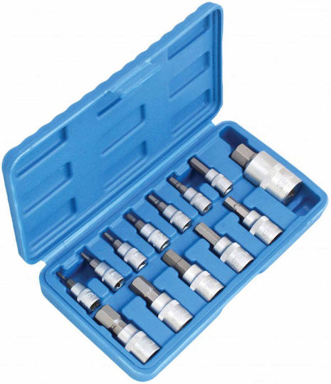 Set de biți cu țeavă de 1/2" 13 bucăți