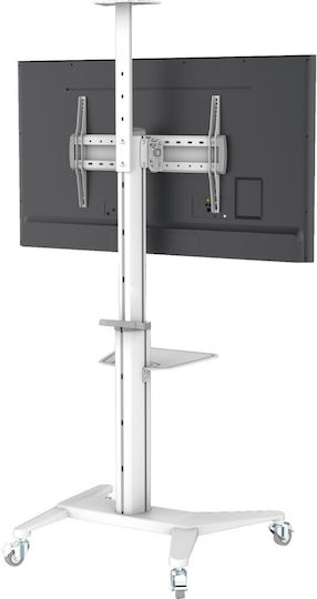 Techly ICA-TR48W Βάση Τηλεόρασης Δαπέδου έως 70" και 70kg