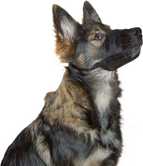 Kerbl Hundemaulkörbe Hundeschulung 24 cm