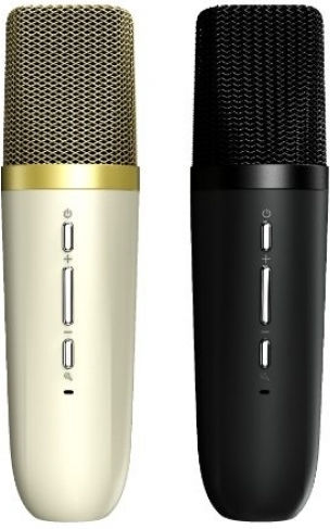 HiFuture Ηχείο Karaoke με Ασύρματο Μικρόφωνο Vocalist100 6972576181749 Ασημί