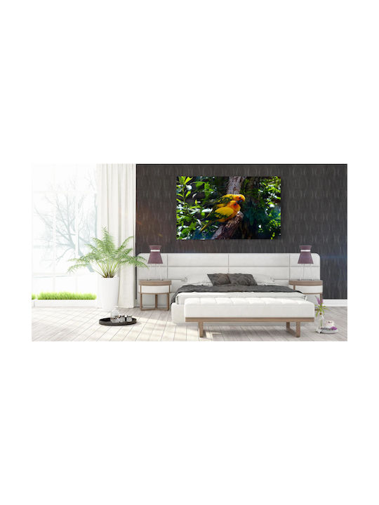 Πίνακας Pair Colorful Parrots Ζευγάρι Πολύχρωμοι Παπαγάλοι 100x70