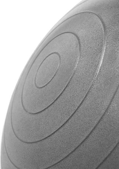 Abisal Ball Pilates 55cm in Gray Color