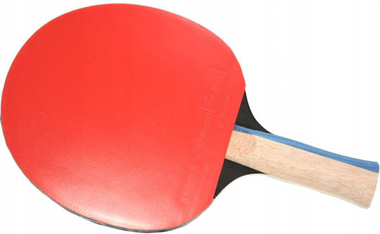 Butterfly Timo Boll Ping Pong Racket for Advanced Players
