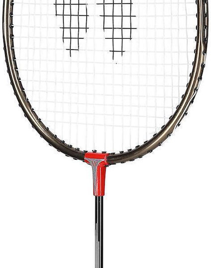 Wish Schläger Badminton