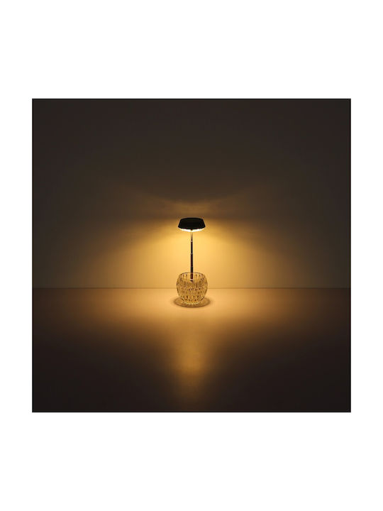 Globo Lighting Decorative Lamp Transparent
