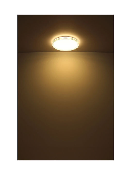 Globo Lighting Πλαφονιέρα Οροφής Διάφανη με Ενσωματωμένο LED