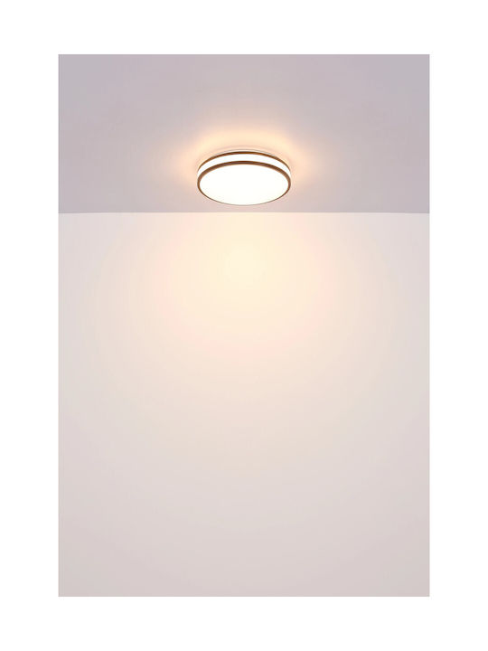 Globo Lighting Ceiling Mount Light Brown