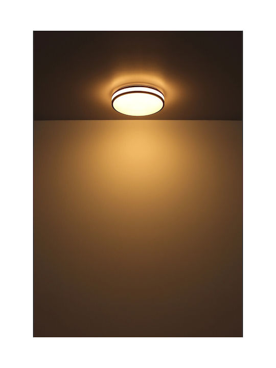 Globo Lighting Ceiling Mount Light Brown