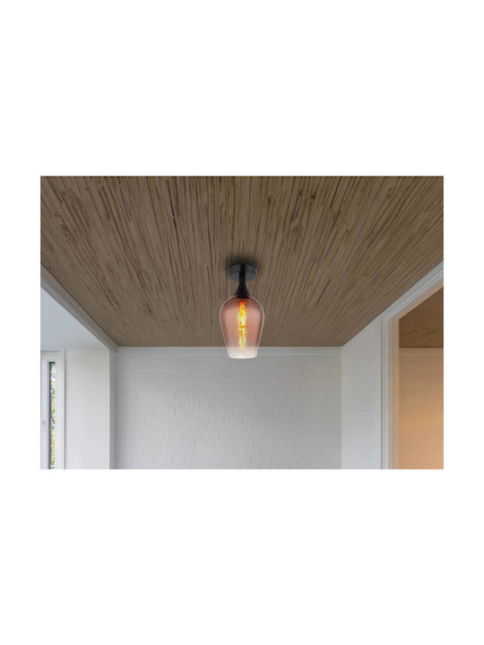 Globo Lighting Ceiling Mount Light Transparent