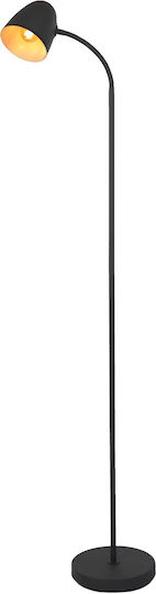 Globo Lighting Floor Lamp Height 145cm Black