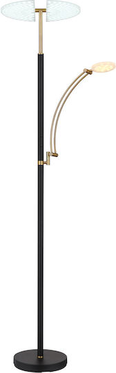 Globo Lighting Floor Lamp Brown