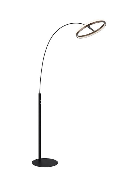 Globo Lighting Lampa de podea Gri