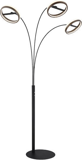 Globo Lighting Lampa de podea Gri