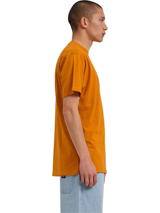 Santa Cruz T-shirt Brown