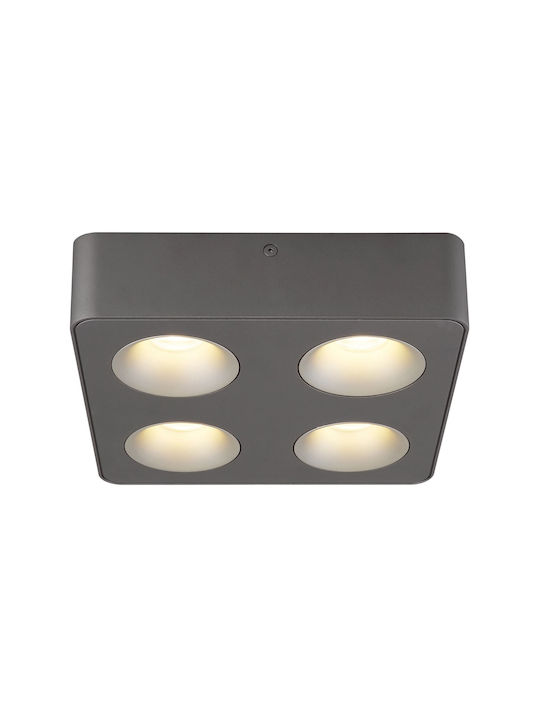 Globo Lighting LED Warm White Spot with 4 Lights in Gray Color