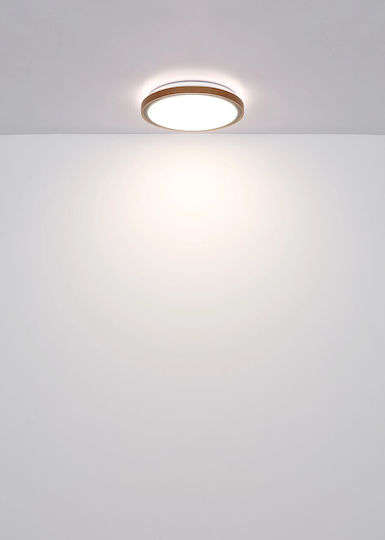 Globo Lighting Πλαφονιέρα Οροφής Καφέ